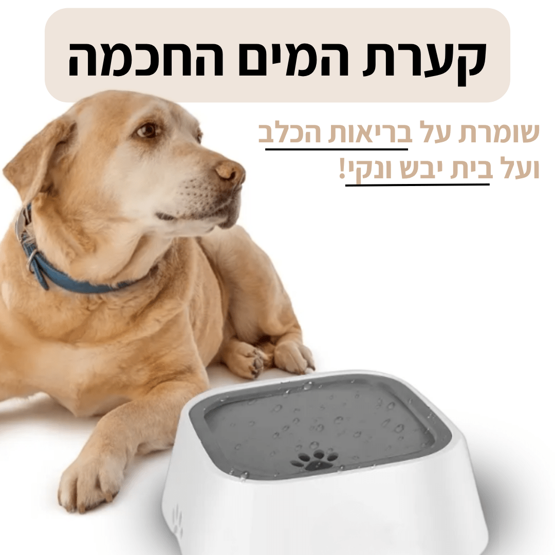 ™CleanBowl - קערת המים החכמה