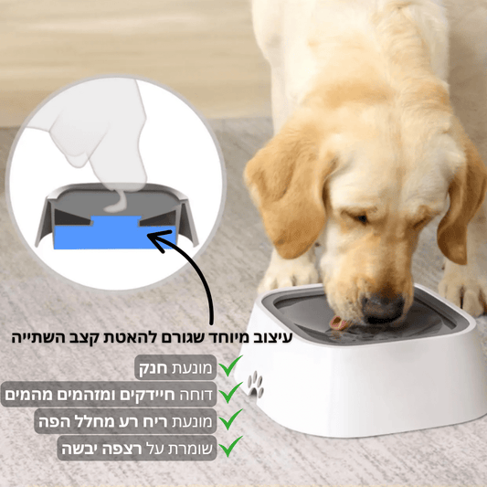 ™CleanBowl - קערת המים החכמה