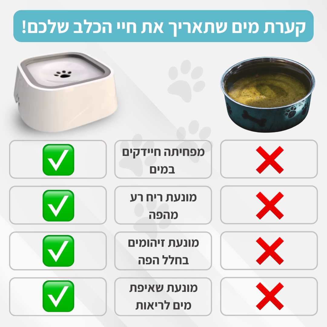 ™CleanBowl - קערת המים החכמה