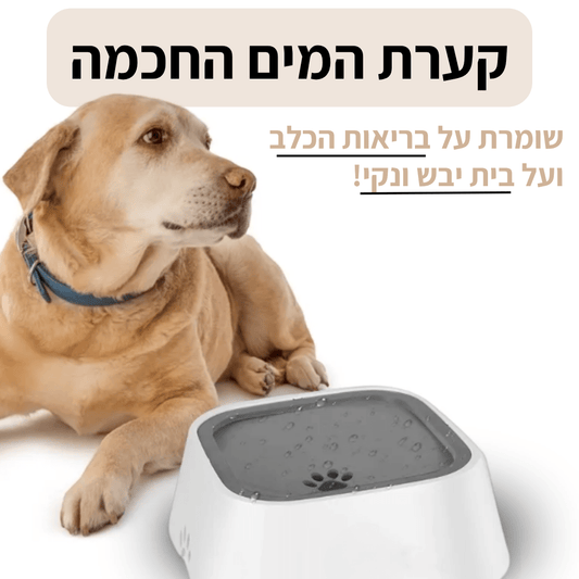™CleanBowl - קערת המים החכמה